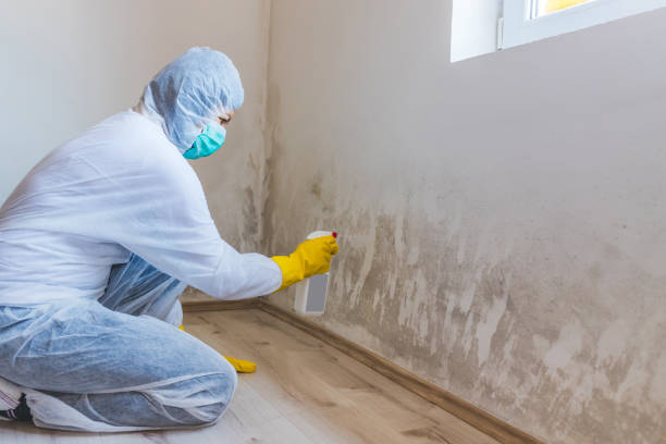 Hvac And Air Duct Mold Remediation inspection of HVAC system in Glen Head