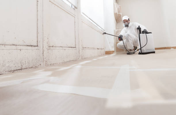 Black mold remediation team in Glen Head